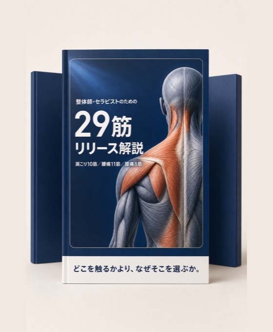 29筋リリース解説 表紙